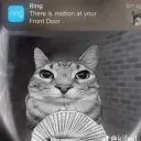 Bruhs community Discord server icon