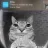 Bruhs community Discord server icon
