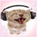 The Converse Club discord icon