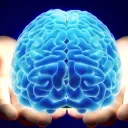 Cognitive Neuroscience Trainees