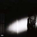 Destroy Lonely icon