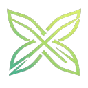 Xylon