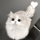 /catsu Discord server icon