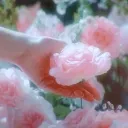 ⋆ ˚｡ ⋆୨ 𝐂𝐚𝐬𝐭𝐢𝐧𝐠 𝐖𝐨𝐧𝐝𝐞𝐫𝐬 ୧⋆ ˚｡ ⋆