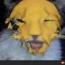 Cheese Channel