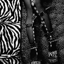 . ݁₊ ⊹ . ݁˖: /fairytopia . ݁₊ ⊹ . ݁˖ Discord server icon