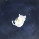 Nova Avenue Discord server icon