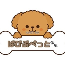 ぱぴぷぺっと Discord server icon