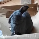 Mlemers