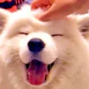 笑顔で連コイン