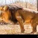 People Who Exist Apparently Discord server icon