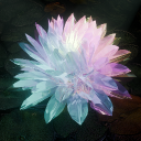 Lotus Crystalite