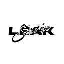 Leak Service