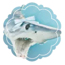 ╰┈➤ ︴𝑠ℎ𝑎𝑟𝑘𝑖𝑎𝑛𝑠 ᛝ
