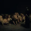 Tyler Comunity
