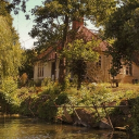 ↻﹒﹫cynefin﹒﹒ Discord server icon