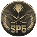 Discovery icon for Police Mod 𝐒𝐏𝟓 | مود الشرطة Discord server