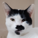 The Republic of Azaria Discord server icon