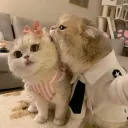 Wary Discord server icon