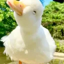 Geese Squad