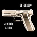 EL FELICITO #LF ACTIVE MEMBERS