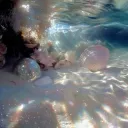 siren