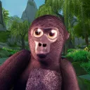 Primate Protocol