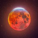 Midnight Moon Sanctuary