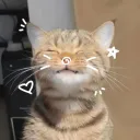 ℂ𝕠𝕫𝕪 ℙ𝕒𝕥𝕔𝕙