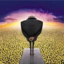The Minions