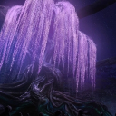 °· Kllpä Fya'o ·° Discord server icon