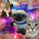Goobers Events