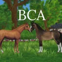 Brave Champions Academy