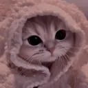 Gato Space