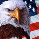 The American Order Roleplay