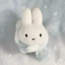 ・୨୧꒷🐰〻︵ miffy ៸៸