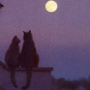 𝒮ℴ𝓊𝓁 𝒯𝒾ℯ𝓈 (𝟷𝟾+) Discord server icon