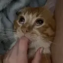 アナル地獄賞受賞