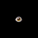 onelostvisual