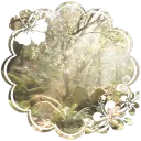 𝑬𝒕𝒉𝒆𝒓𝒆𝒂𝒍 𝑬𝒗𝒆𝒏𝒊𝒏𝒈'𝒔 🪷