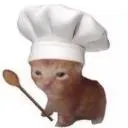 Cat Bot
