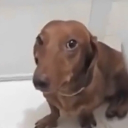 punheteiros do xvideos Discord server icon