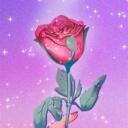 Girl Roses | DISBOARD: Lista de Servidores de Discord