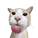 ,..,