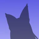 The Cyber Fox Den