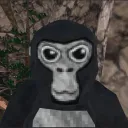 Gorilla Crash Outs