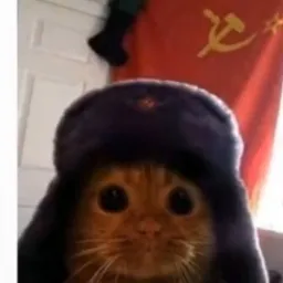Обаюдна 228 — мониторинг Discord сервера, статистика и рейтинг