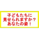 民主主義国家VVALKÜRE