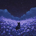 𝒔𝒐𝒏𝒅𝒆𝒓