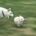 :3